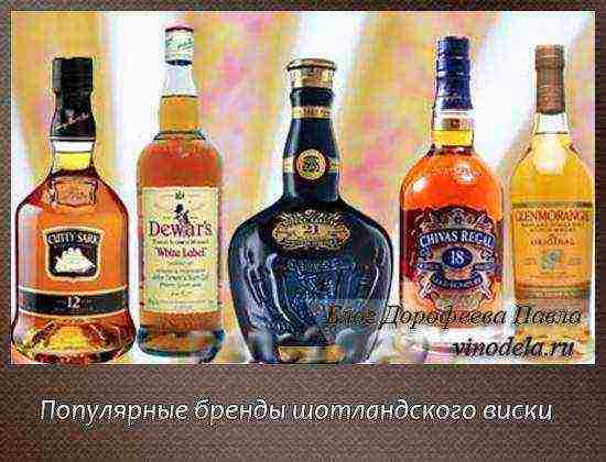 the best whiskeys