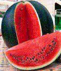 the best variety of watermelon