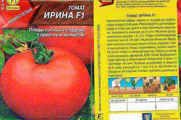 scheme for planting tomatoes in open ground in Ukraine