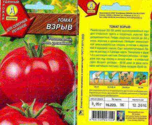 scheme for planting tomatoes in open ground in Ukraine