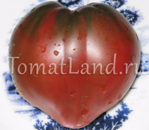 standard tomatoes are the best varieties