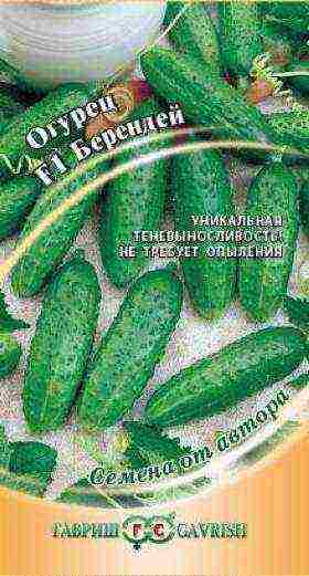 see the best varieties of cucumbers