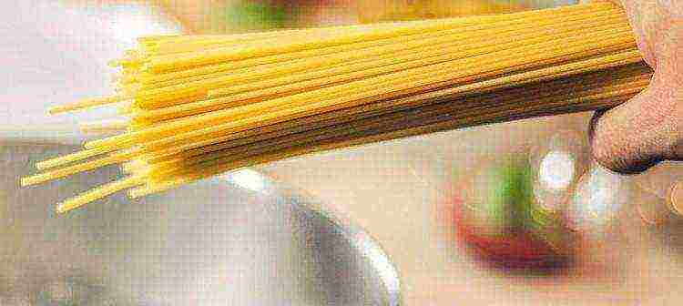 which type of pasta is better