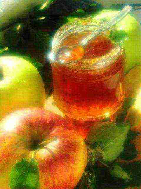 apple variety is the best for jam