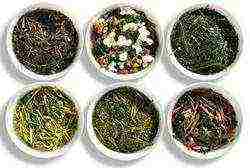 varieties of good green tea