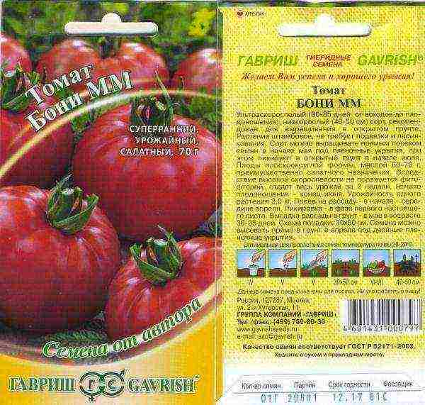 tomato varieties are the best for the Moscow region