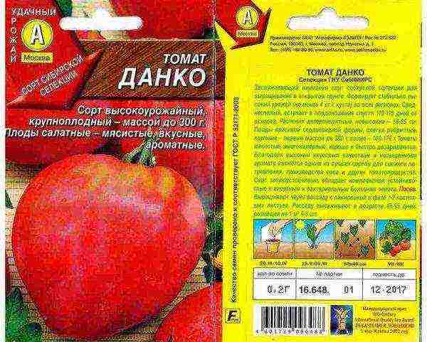 sorte rajčice najbolje su za moskovsku regiju