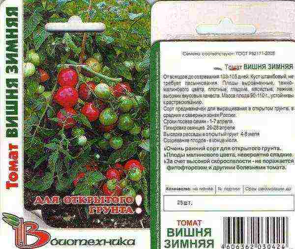 sorte rajčice najbolje su za moskovsku regiju