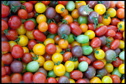 tomato best varieties of cherry