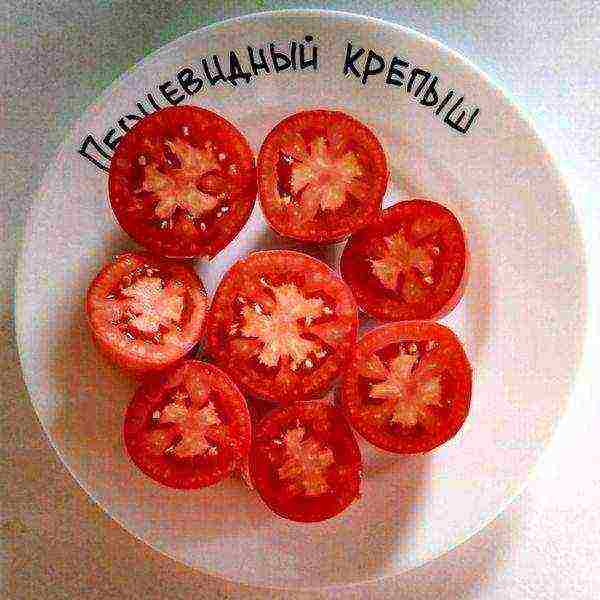 pepper-shaped tomatoes are the best varieties