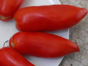 pepper-shaped tomatoes are the best varieties