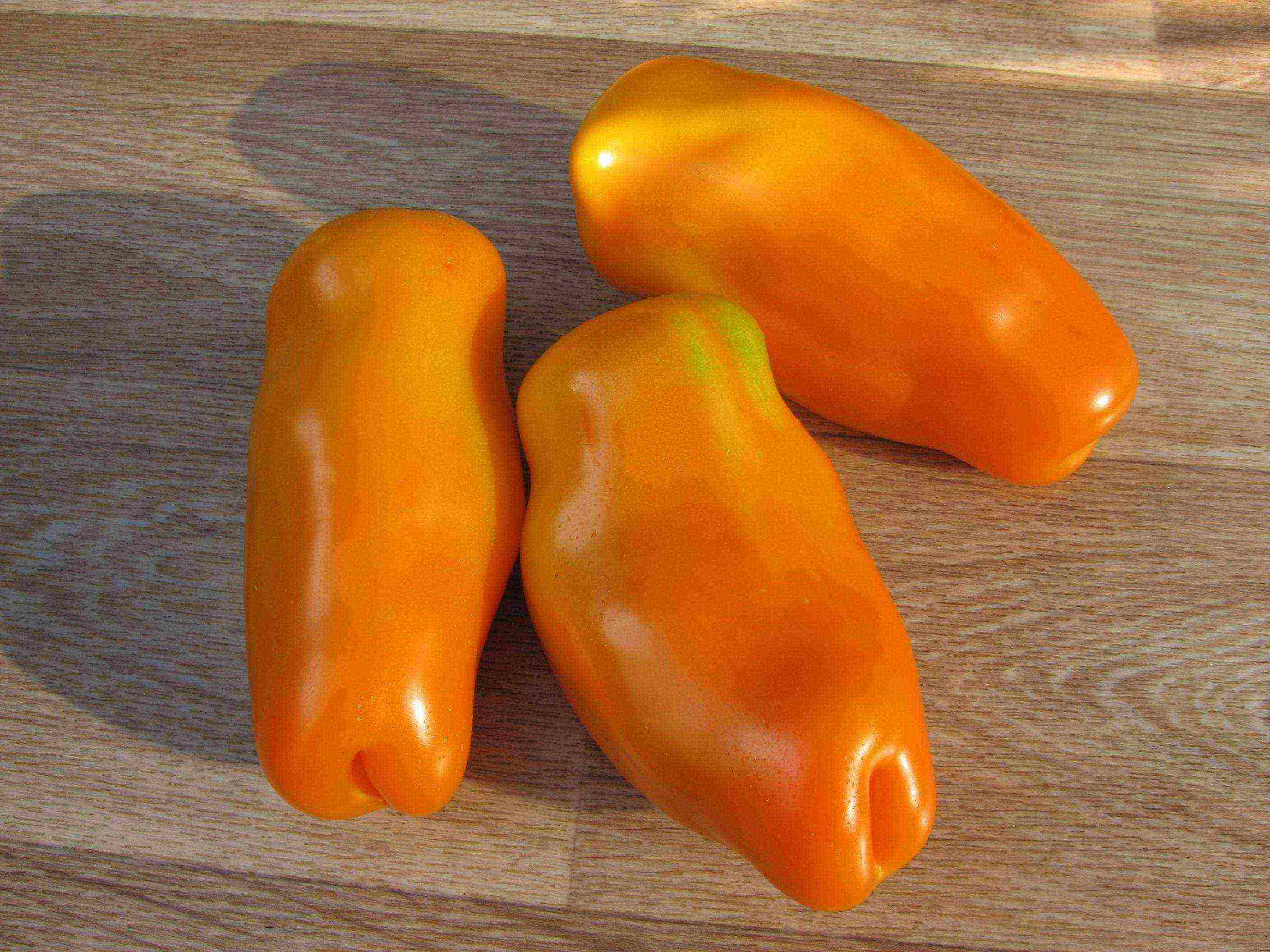 pepper-shaped tomatoes are the best varieties