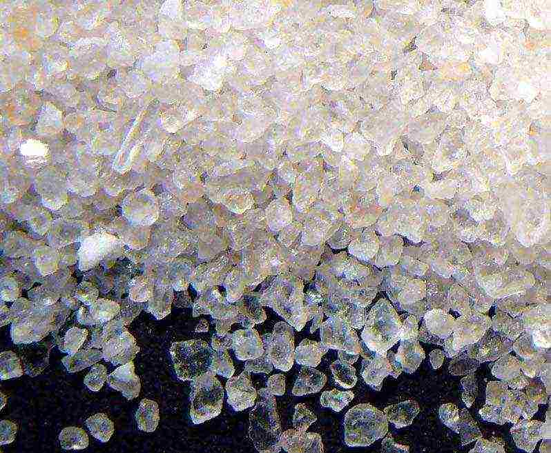 we grow crystals at home from salt