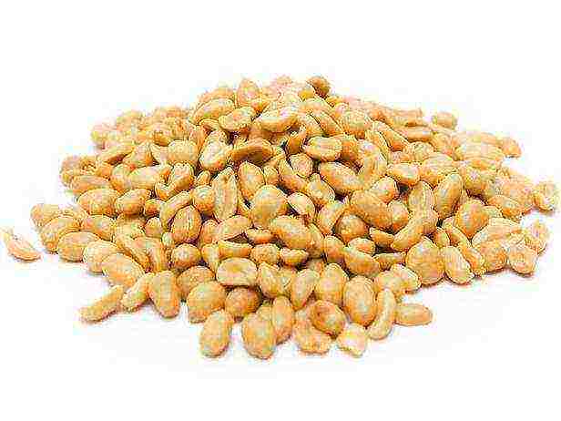 peanuts are grown in south america india china and myanmar