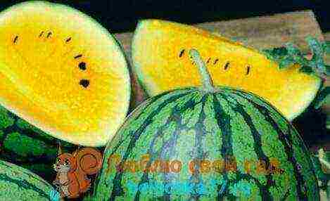 good varieties of watermelons