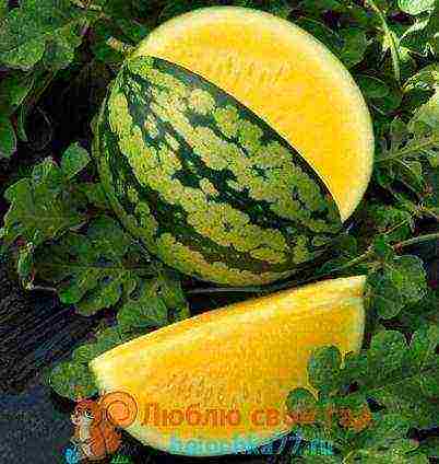 good varieties of watermelons