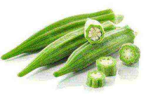 okra pinakamahusay na mga pagkakaiba-iba