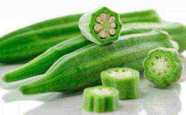 okra best varieties