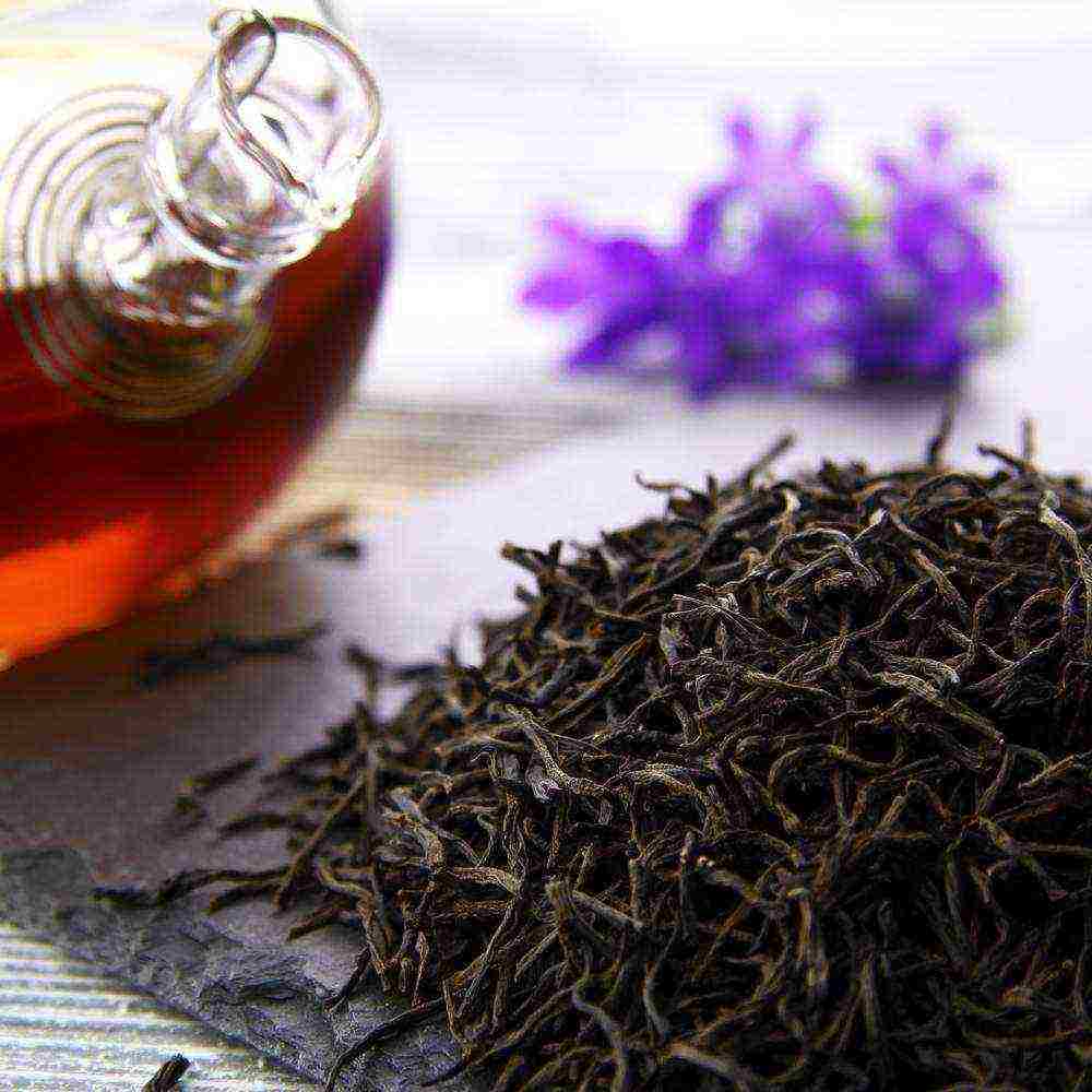 the best varieties of tea