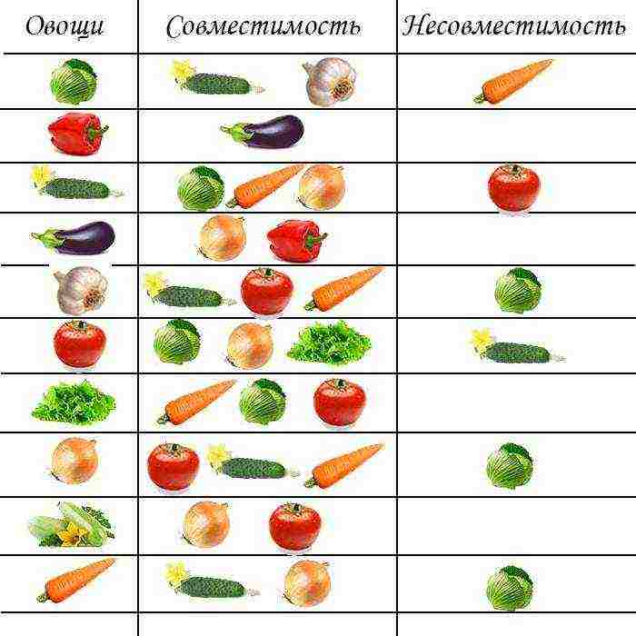 what can be grown at the same time inside the same greenhouse