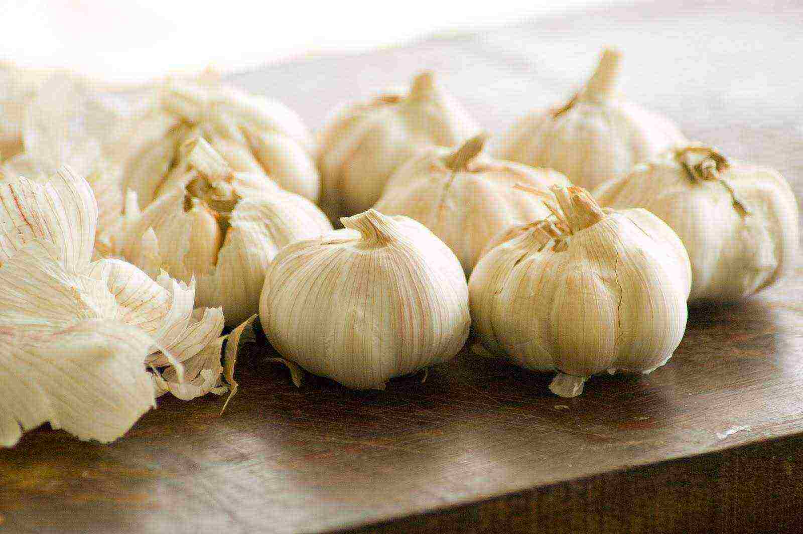 good varieties of garlic