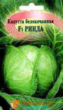 good varieties of cabbage