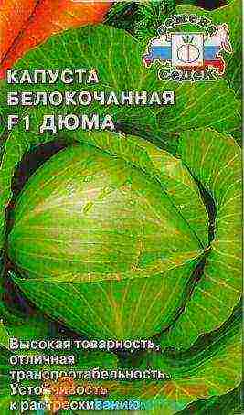 good varieties of cabbage