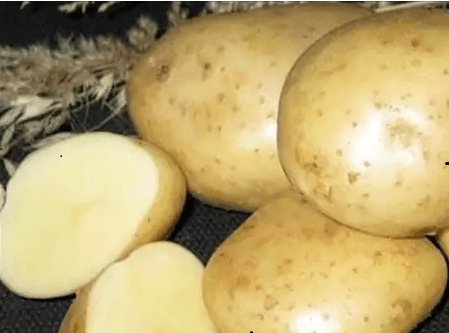 good varieties of potatoes