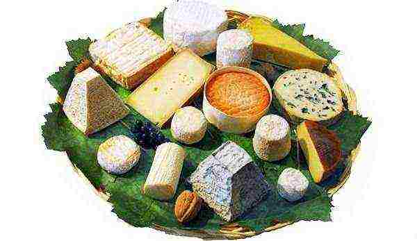 good cheeses