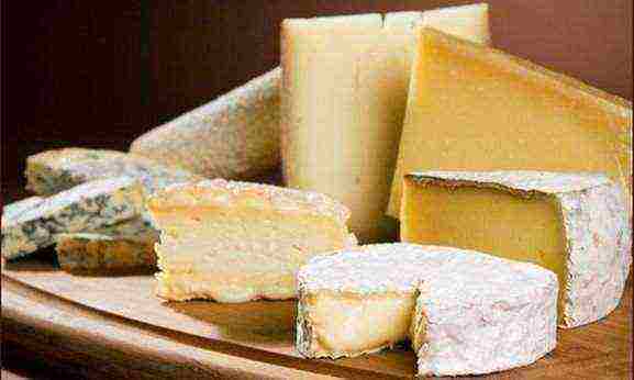 good cheeses