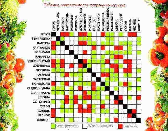 how to grow vegetables all year round in a polycarbonate greenhouse