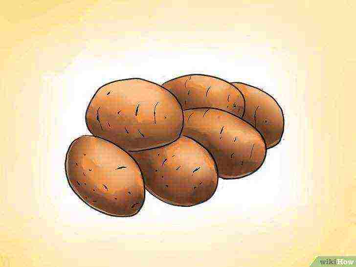 how to grow potatoes at home