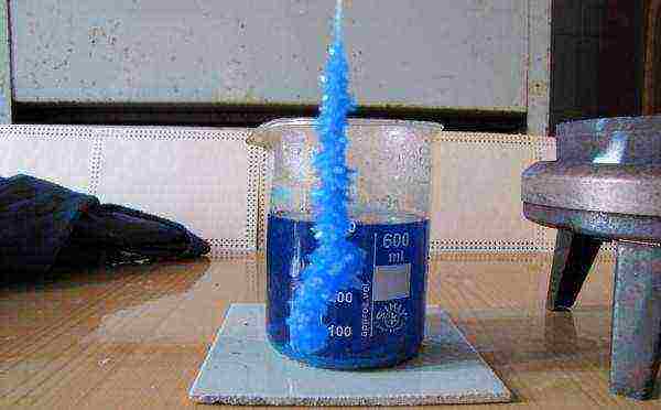 how to grow crystals from copper sulfate in stages