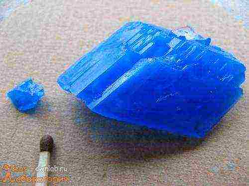 how to grow crystals from copper sulfate in stages