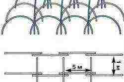 how to grow cucumbers in a greenhouse from a covering material