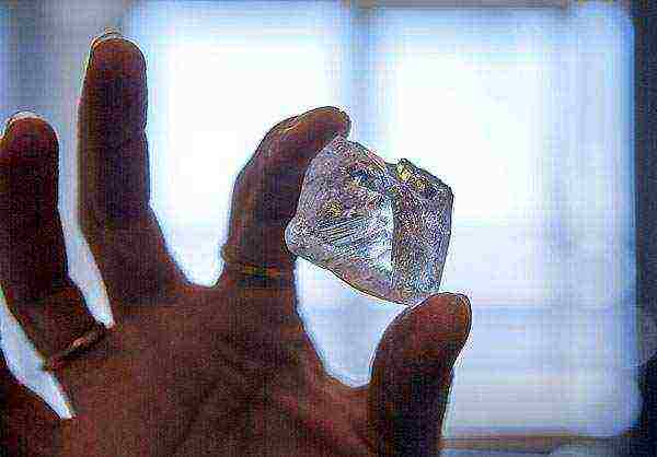 how diamonds are grown at home