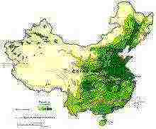 what crops are grown in china