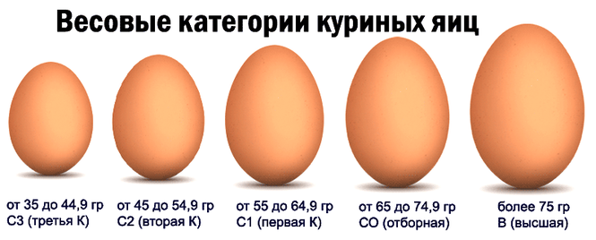 which kind of egg is better