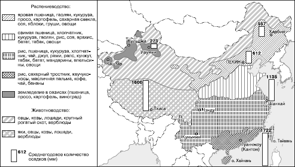 what kind of agricultural crop did the Chinese grow