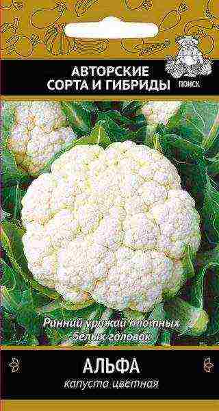 cauliflower best varieties