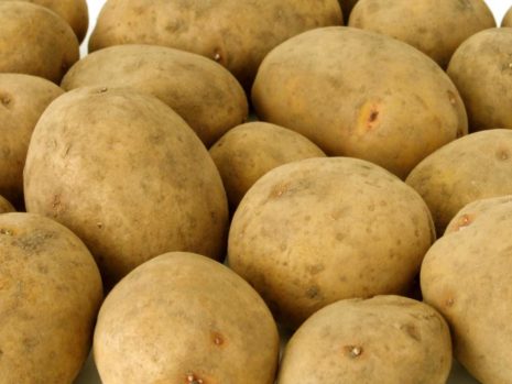 the best Belarusian potato varieties