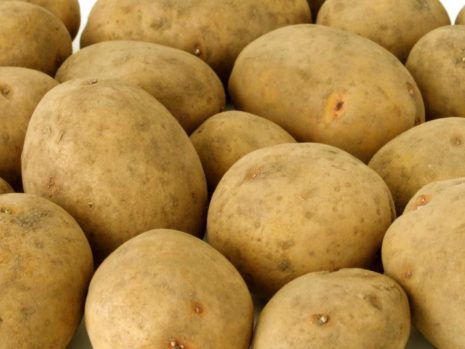 ang pinakamahusay na Belarusian potato varieties