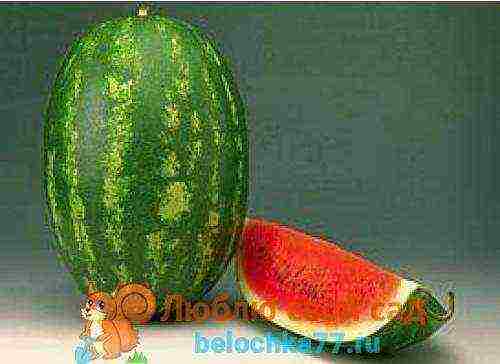 the best varieties of watermelon