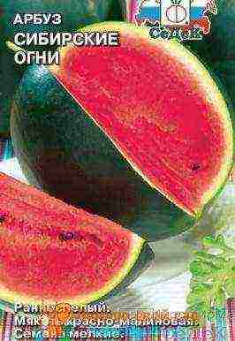 the best varieties of watermelon