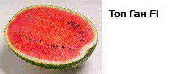 the best varieties of watermelon