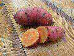 the best varieties of sweet potatoes