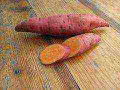 the best varieties of sweet potatoes