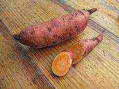 the best varieties of sweet potatoes