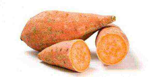 the best varieties of sweet potatoes