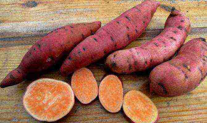 the best varieties of sweet potatoes